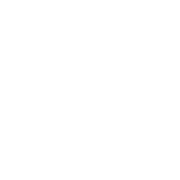 vector_2.png