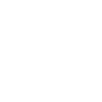 vector_4.png