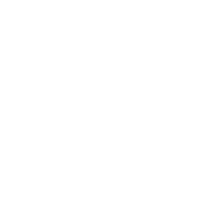 vector_5.png